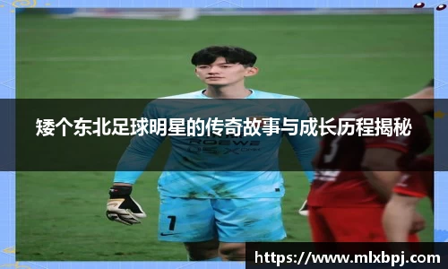韦德体育