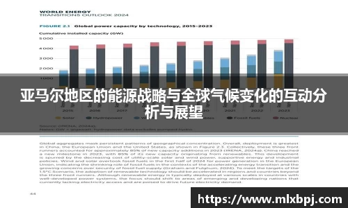 亚马尔地区的能源战略与全球气候变化的互动分析与展望